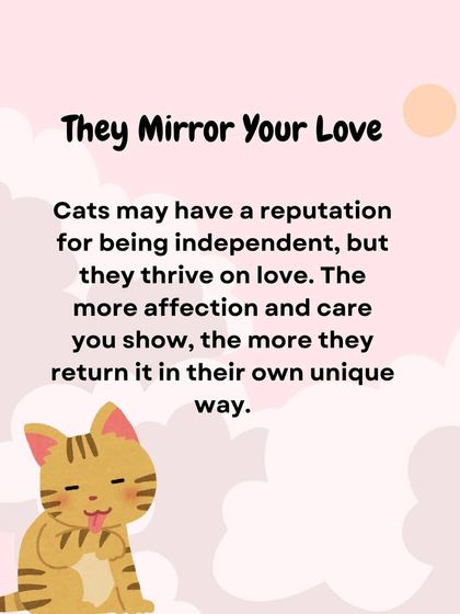 Oh My Dawg - Animal Welfare & Adoption Services Our Adoption Drives photo 44