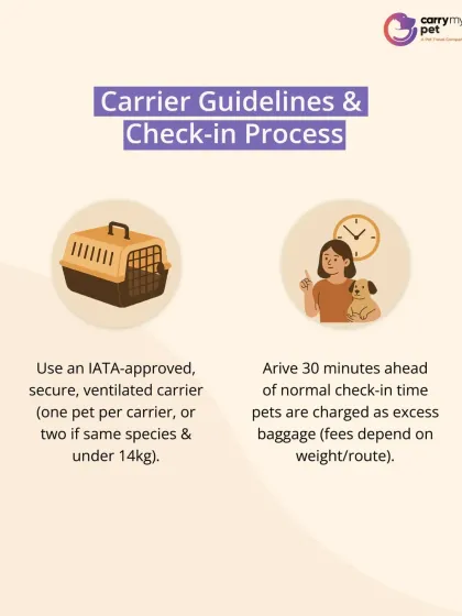 CarryMyPet - Pet Travel & Parenting Consultation Your Pet Travel Questions, Answered photo 10