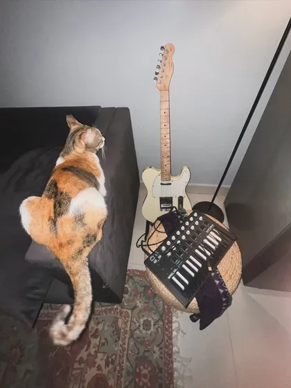 My studio supervisor keeping an eye on things. My cat, my guitar, and my MIDI keyboard are essential parts of my creative space.