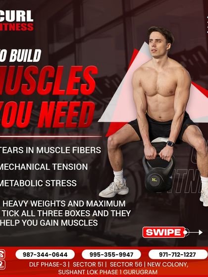 Fitness & Workout Guides photo 10