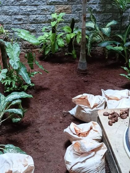 From Dirt to Dream Garden: Our Process photo 12