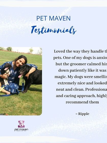 This review highlights our skill with anxious dogs. Calming a nervous pet "like it was magic" is the highest compliment we can receive.