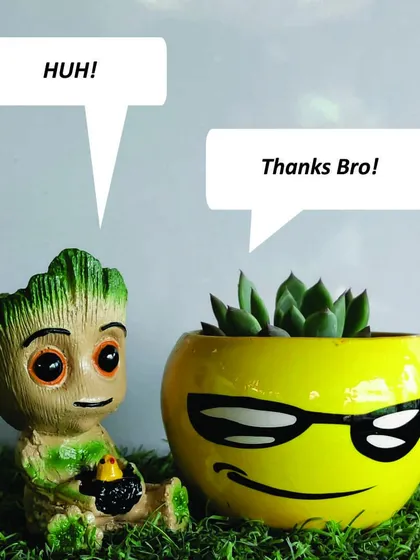 A fun conversation between my Groot and smiley-face planters. I believe that your plant's home should be as full of personality as you are.