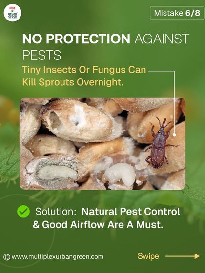 Multiplex Urban Green - Organic Gardening Supplies Natural Plant Protection photo 8