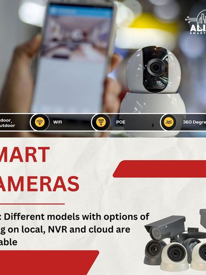 I offer a range of smart cameras for indoor and outdoor use, with features like WiFi, Power over Ethernet (POE), and 360-degree views. Different models are available with local, NVR, and cloud storage options.