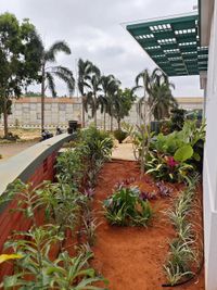 Plant Nursery & Sales