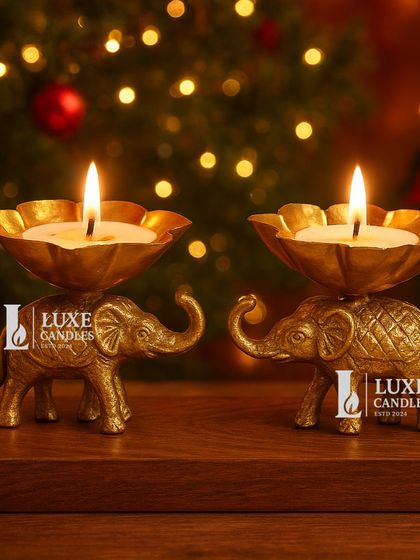 The Festive Glow: Diwali & Holiday Specials photo 29