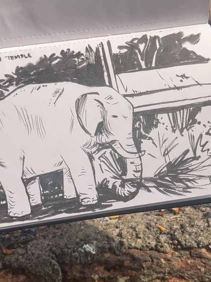 A sketch of an elephant from the Vadakkunnathan Temple in Thrissur. While not a person, capturing the spirit of this gentle giant felt like a portrait.