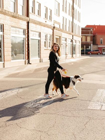 Tulsa Dog Trainer - Pack Walks Our Pack Walks in Action photo 7