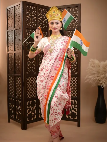 A full-length view of the Bharat Mata look, draped in a tricolor-bordered saree.