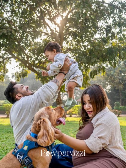 Pawparazzi By Prathima - Maternity & Newborn Photography with Pets Kids & Pups: Partners in Crime photo 19