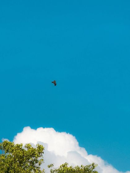 Garima Bhaskar - Photo & Video Editing Presets Aqua: Moody Blues & Greens for Travel photo 25