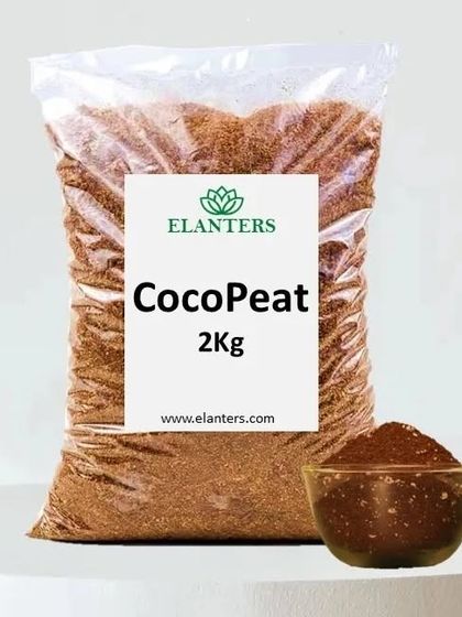 Plant Care Tips & Supplies photo 7