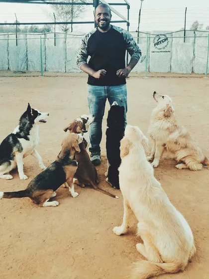 This is what leadership looks like. In my board and train program, dogs of all breeds, sizes, and temperaments learn to coexist in a structured pack. They learn boundaries from me and from each other, creating a foundation of social stability that is crucial for a balanced dog.