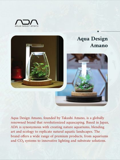 Lupa - Special Event Hosting & Culinary Pop-ups Our Space & The Details photo 10