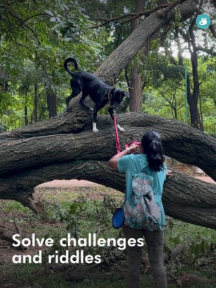 The Pack - Pet-Friendly Adventures & Meetups City Meetups & Doggie Picnics photo 8