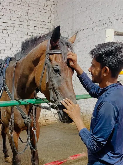 My duty is to ensure every horse feels respected and cared for. This bond, built on daily checks and genuine affection, is the foundation of our academy's philosophy.