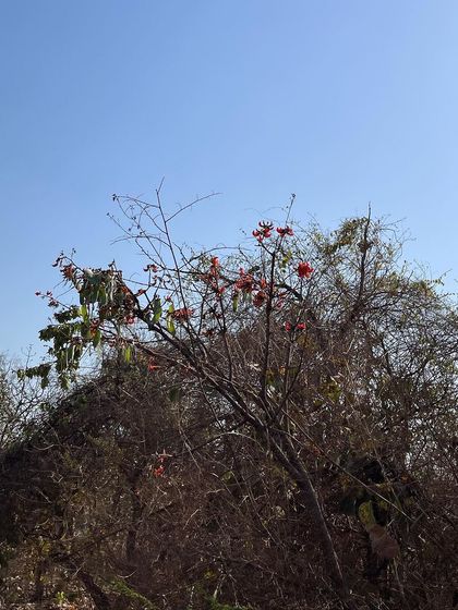 Our Inspiration: The Beauty of Nature photo 7