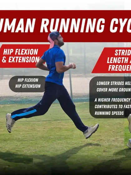 To run faster, you need to understand the mechanics. This graphic explains how hip flexion and extension, combined with a longer stride length and higher frequency, contribute to greater speed.