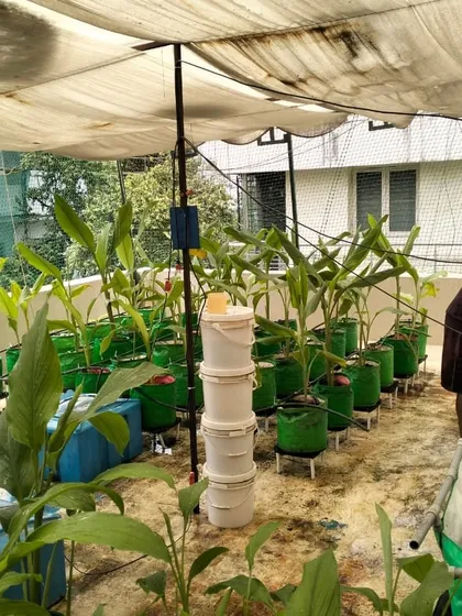Our team at work during a garden maintenance visit. We don't just set up your garden; we help you keep it thriving with services like deep cleaning, soil enrichment, and plant care.