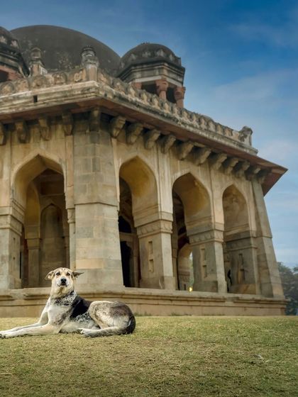 A slightly different angle of the dog and tomb, showing more of the architectural details.
