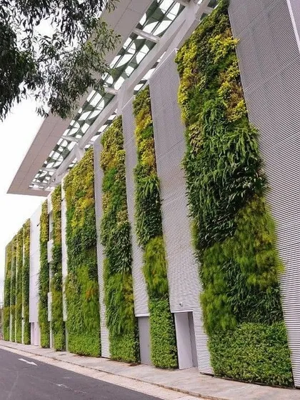 An architectural green facade on a commercial building. I design these vertical gardens to integrate with the building's structure, turning plain walls into living, breathing art.