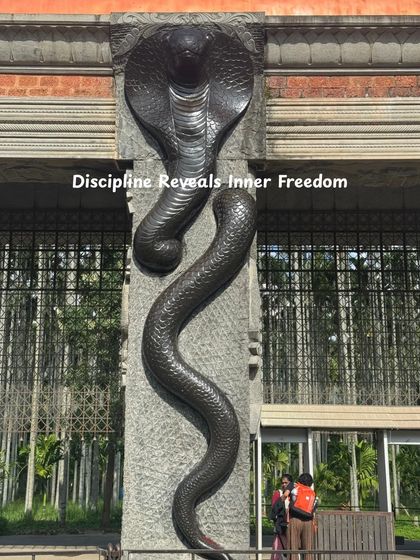 Discipline reveals inner freedom. This was another powerful lesson from my time at Isha.