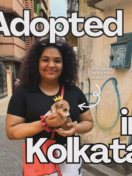 This is the ultimate win. A participant at our Kolkata event found her forever friend. Our events are experiential adoption drives, creating the perfect space for people and puppies to connect and fall in love.
