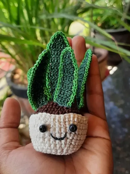 Want a plant that you can't kill? I've got you! I can make all sorts of crochet plants, like this happy little succulent, to brighten up your desk without any of the watering.