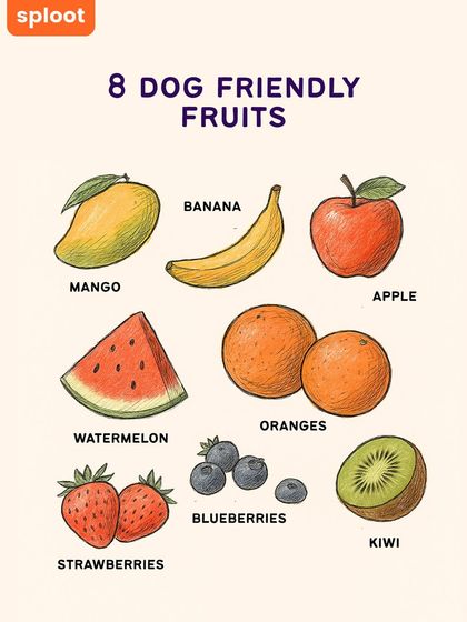 Want to share a fruity snack with your pup? Here are 8 dog-friendly fruits like mango, watermelon, and blueberries. Just remember to serve in small portions and remove any seeds.