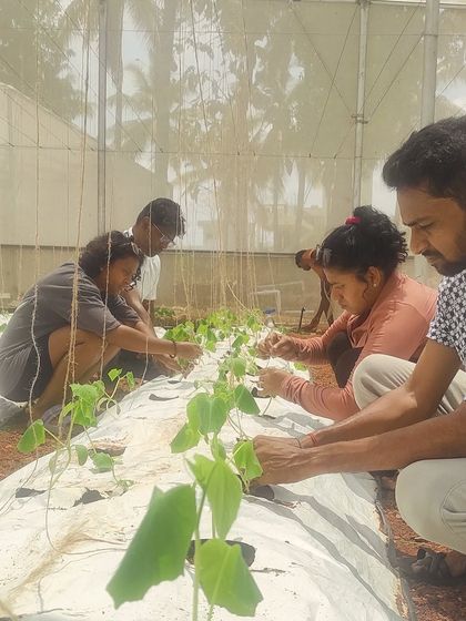 Teamwork makes the dream work. Trainees from our April 2025 batch collaborate on planting, sharing knowledge and building skills together in the greenhouse.