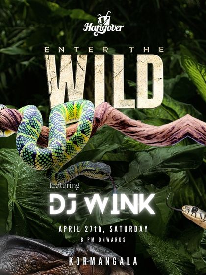 Another 'Enter The Wild' event poster, highlighting my residency and consistent ability to draw a crowd for themed Saturday nights.