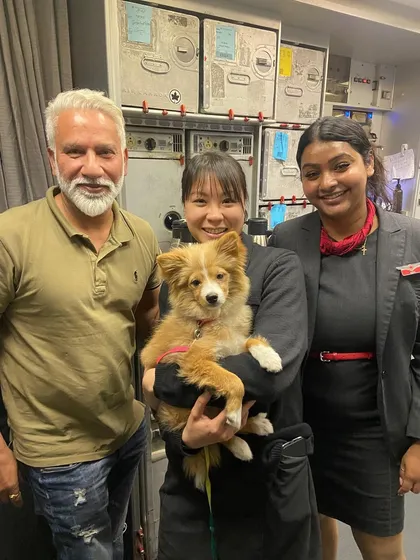 Teddy posing with me and the friendly cabin crew. Building good relationships with airline staff helps ensure my furry clients get the best care possible during their flight.