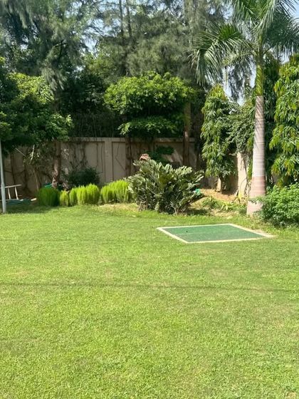 An expansive backyard lawn provides a clean, open space for recreation and relaxation. We specialize in creating these large, healthy turf areas for estates and farmhouses.