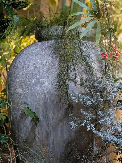 We love the interplay of different plant textures. Here, the soft, silvery foliage of a cypress bush contrasts with the fine, cascading needles of another plant, all set against a large, weathered stone-like urn for the Anita Dongre event.