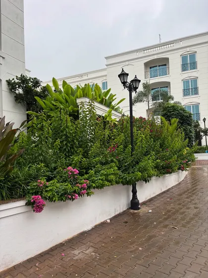 The lush, layered greenery at this residential property looks especially vibrant after a rain. The mix of flowering shrubs and large-leafed plants creates a rich, textured garden.