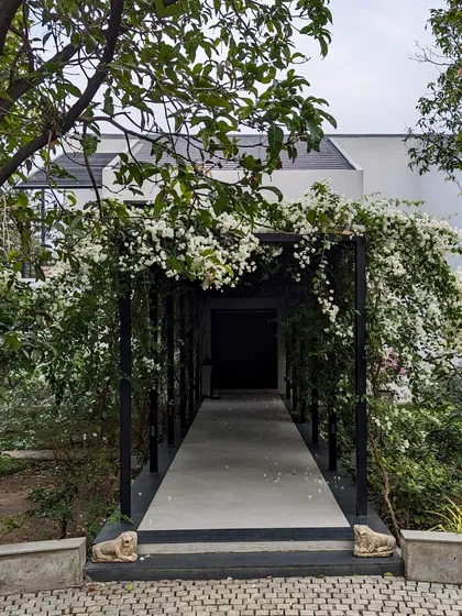 The entrance to the Mango Orchard House is through a beautiful pergola covered in white bougainvillea. This creates a welcoming and enchanting transition from the driveway to the front door, immediately immersing visitors in nature.