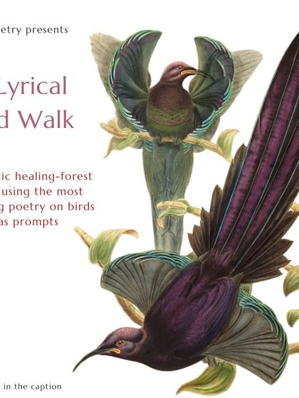 Did you know Delhi is the world's second most bird-rich capital? This Lyrical Bird Walk in Lodhi Gardens celebrates our feathered companions, using poetry to explore their majesty, mystery, and ecological importance.