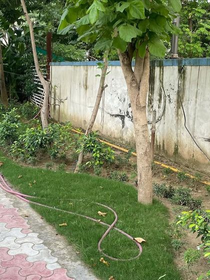 Large-Scale Community & Commercial Landscaping photo 14