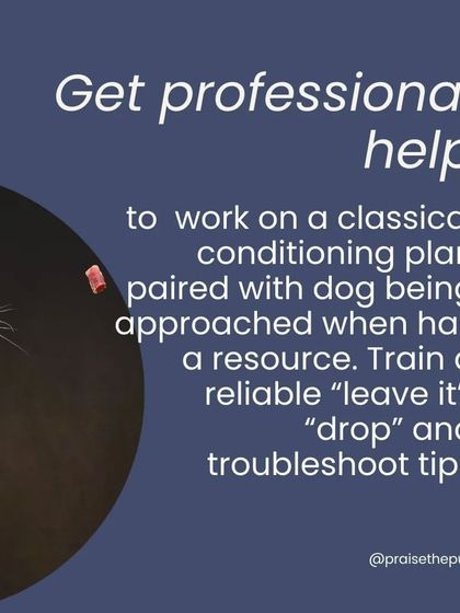 For established resource guarding, it's important to get professional help. I can help you create a classical conditioning plan to change your dog's emotional response and teach reliable "leave it" and "drop" cues.