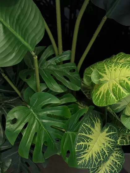 A close-up on the artificial Monstera and Caladium leaves, highlighting their realistic details and textures. This is the key to creating faux arrangements that truly impress.