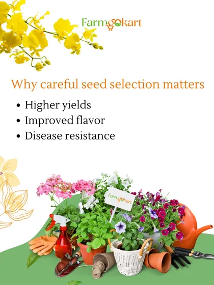 Why does careful seed selection matter so much? Because the right seeds lead to higher yields, improved flavor, and better disease resistance, giving you a more successful and rewarding garden.