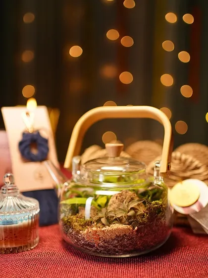 The warm glow of festive lights highlights the unique shape of the teapot terrarium. It's the centerpiece of my gift hamper, designed to bring lasting joy long after the celebrations are over.