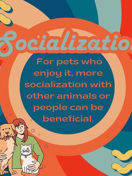 Furever Safe - Pet Training Pet Parent Knowledge Hub photo 11