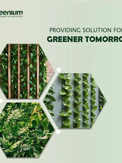 This graphic represents my core mission: providing solutions for a greener tomorrow. It showcases different applications of my work, including vertical gardens and creative plant installations.