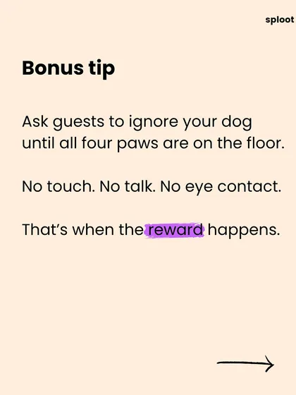 Bonus tip: Ask your guests to completely ignore your dog until all four paws are on the floor. No touch, no talk, no eye contact. Calmness earns the reward.