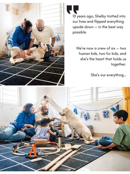 A collage telling the story of Shelby's 10th birthday. It shows her getting belly rubs and interacting with the kids, showcasing her role as the heart of the family.