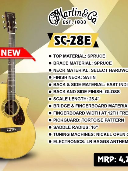 The Chords Music - Musical Instrument & Equipment Sales Acoustic Guitars: Premium Collection photo 13