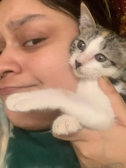Ngl, the cuddles are the best payment. 🫶🏼 This little one reminds me why I do what I do. Every cat, whether a pet or a street billi, deserves love, care, and a chance to live a healthy life.
