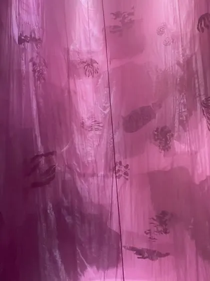 A close-up of the 'Cardinal' installation's translucent fabrics. The delicate, screen-printed patterns become visible as light shifts, inviting deeper sensory exploration.